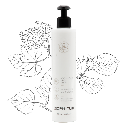 ICONIQUE 02 shampoing aux 12 plantes 250 ml